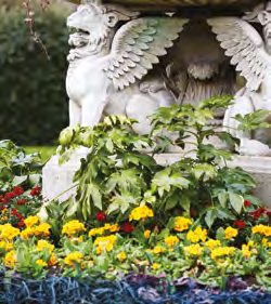 花園景觀