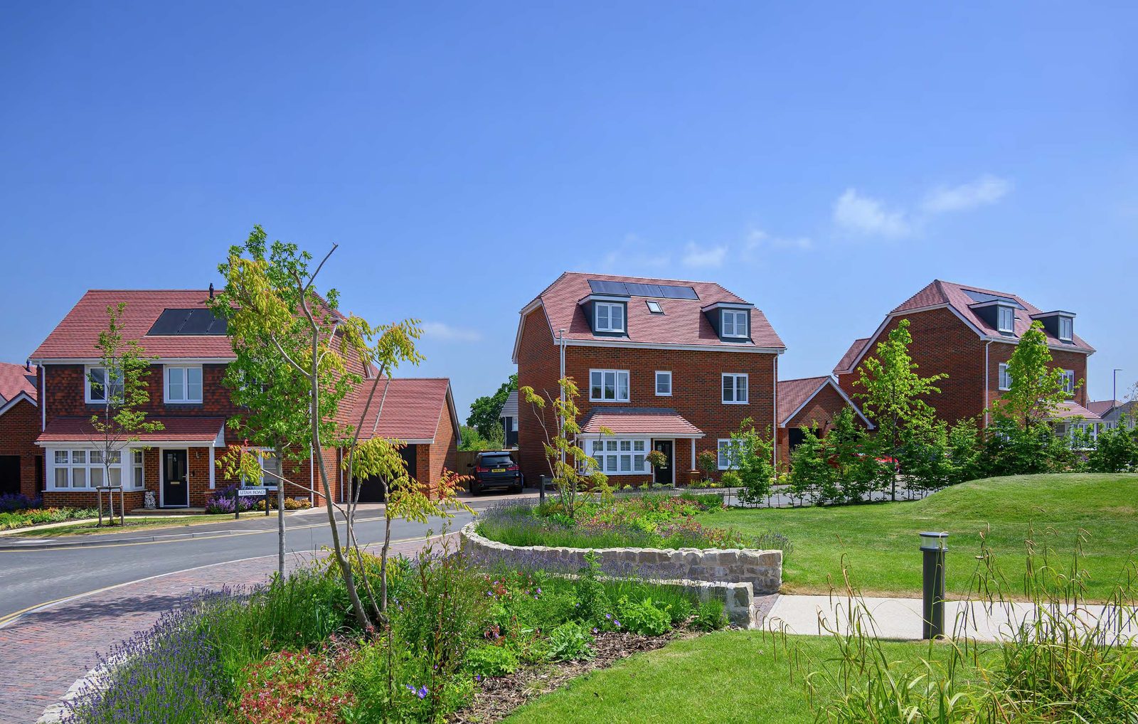 Foal Hurst Green – Meadow Rise