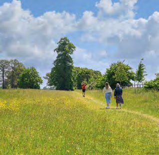 園區景觀