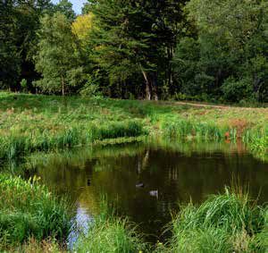 The Chaplin Collection at Trent Park